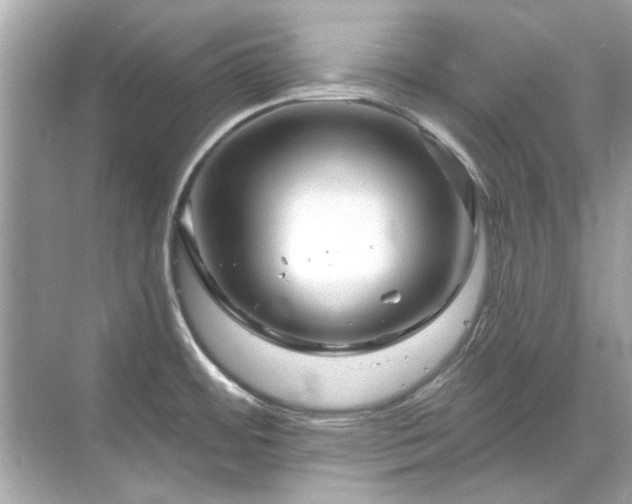 X0000071851484200607072248