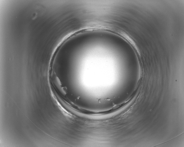 X0000071851485200607072248