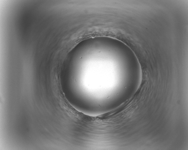 X0000071851489200607072247