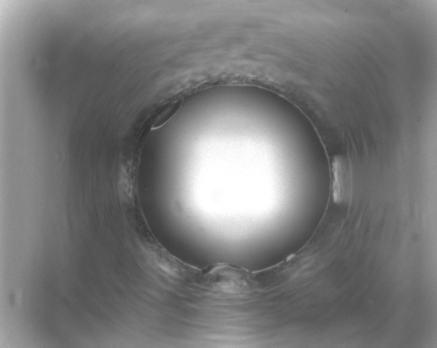 X0000071851491200607072248