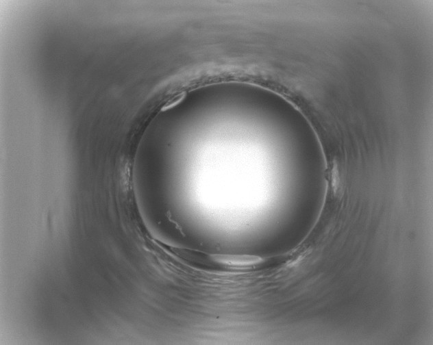 X0000071851492200607072248