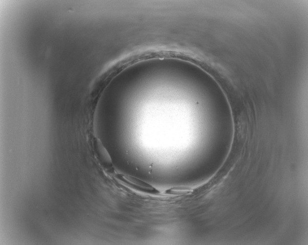 X0000071851494200607072248