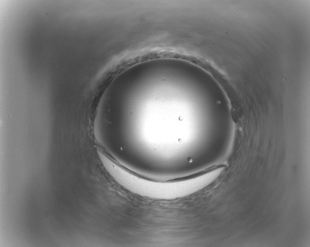 X0000071851495200607072248