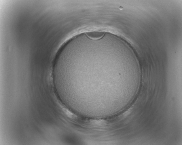 X0000071851498200607072248