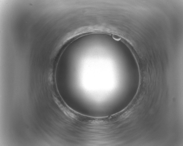 X0000071851499200607072248