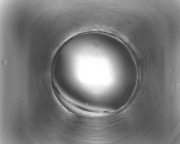 X0000071851500200607072248