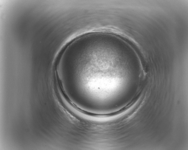 X0000071851506200607072248