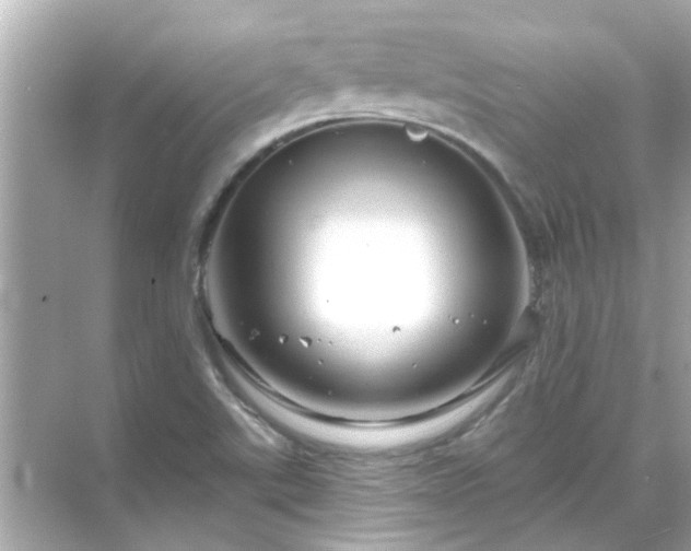 X0000071851507200607072248