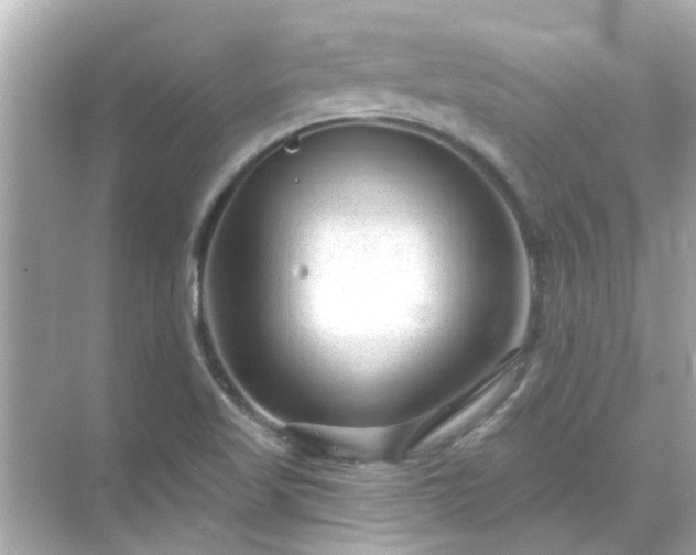 X0000071851509200607072248