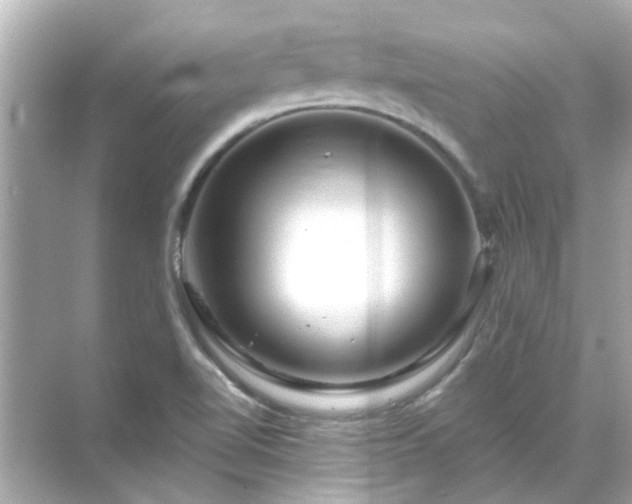 X0000071851510200607072248