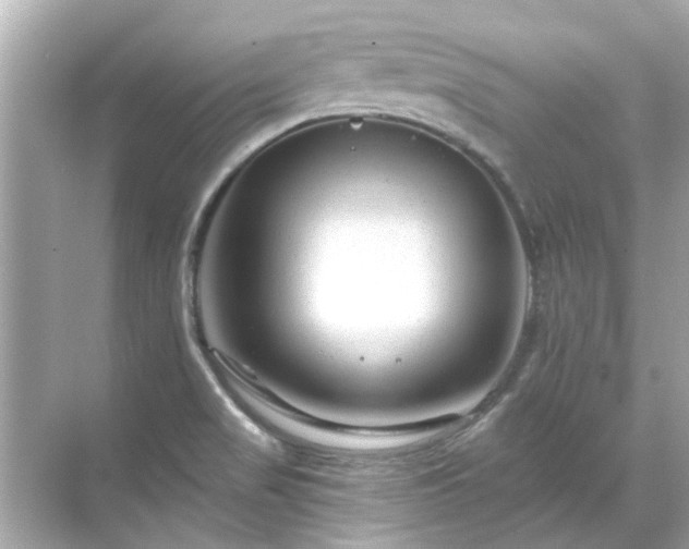 X0000071851517200607072248