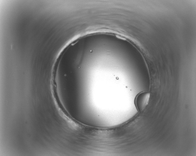 X0000071851518200607072248