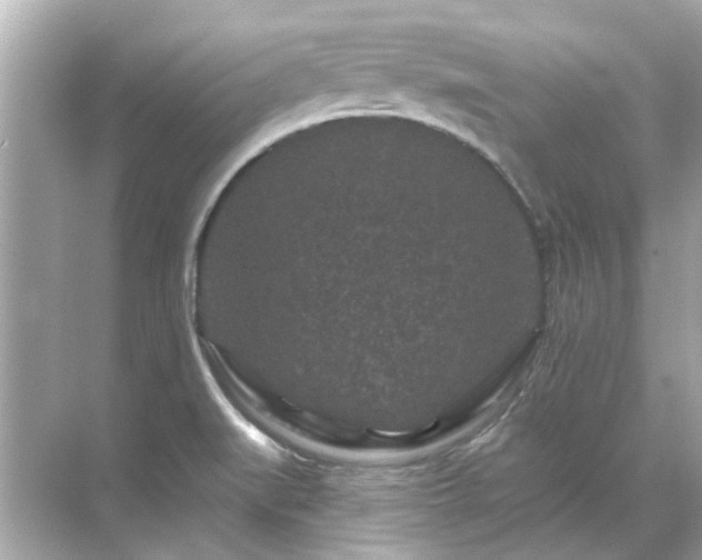 X0000071851519200607072248