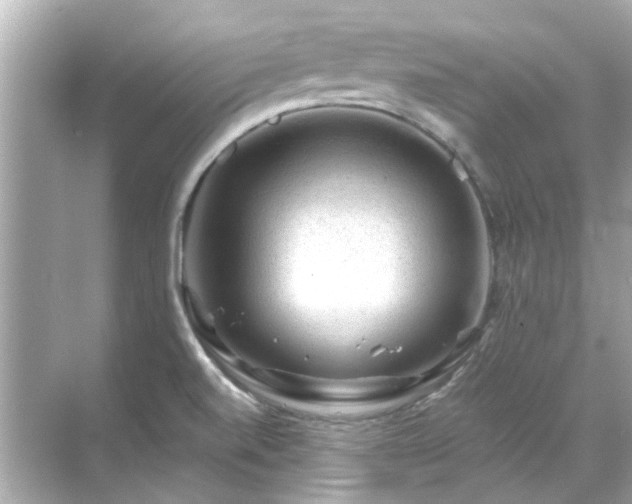 X0000071851520200607072248