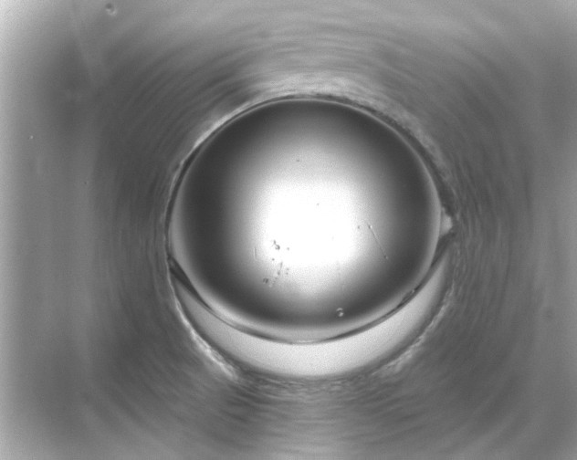 X0000071851521200607072248