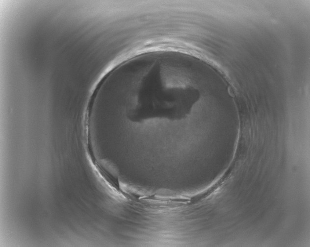 X0000071851522200607072248