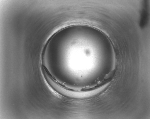 X0000071851523200607072248