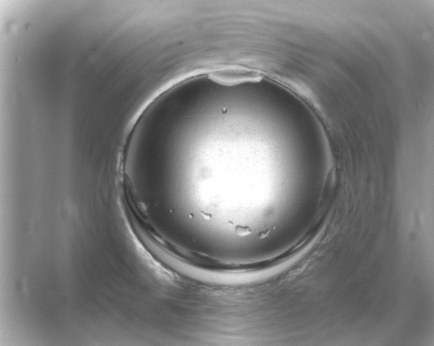 X0000071851524200607072248