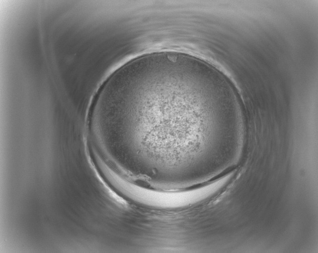 X0000071851525200607072248