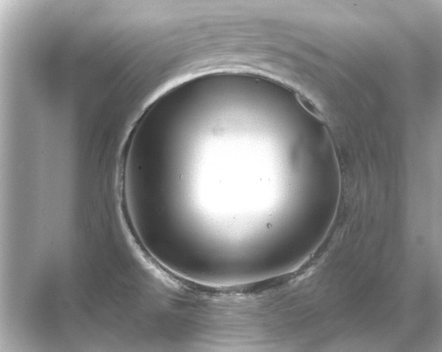 X0000071851526200607072248