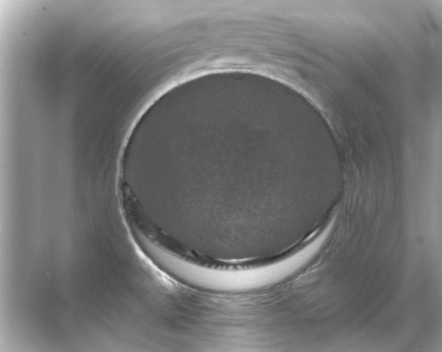 X0000071851527200607072248