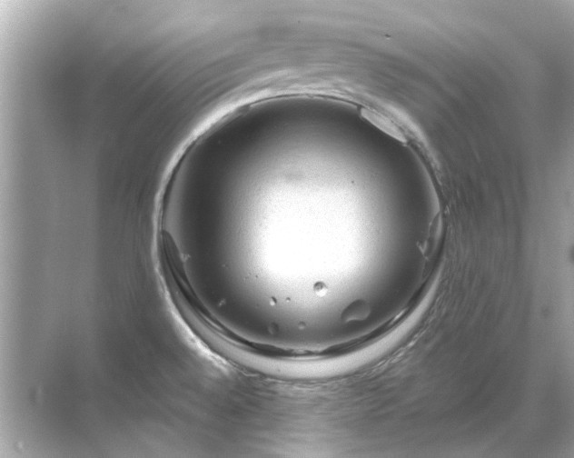 X0000071851528200607072248