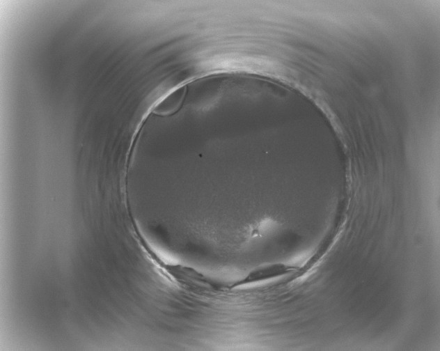 X0000071851529200607072248