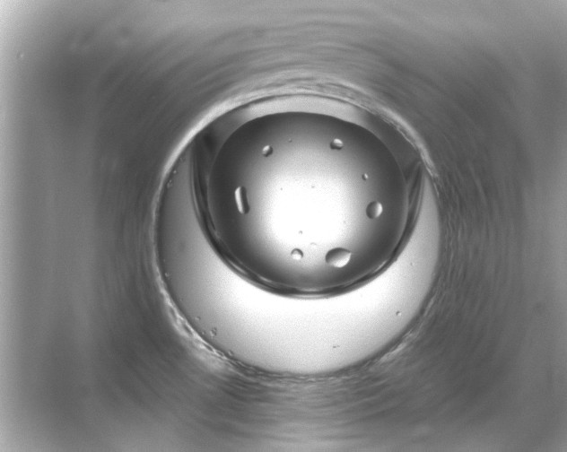 X0000071851530200607072248