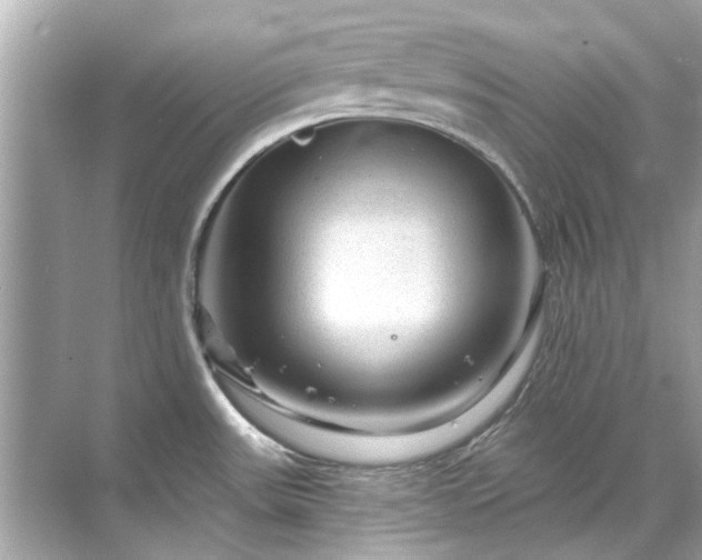 X0000071851531200607072248