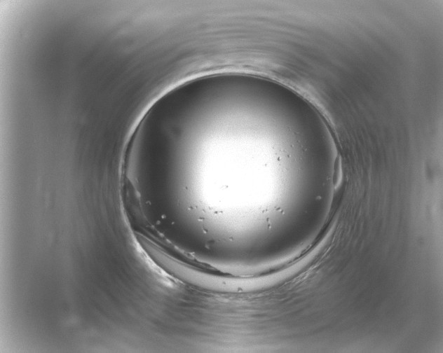 X0000071851532200607072248