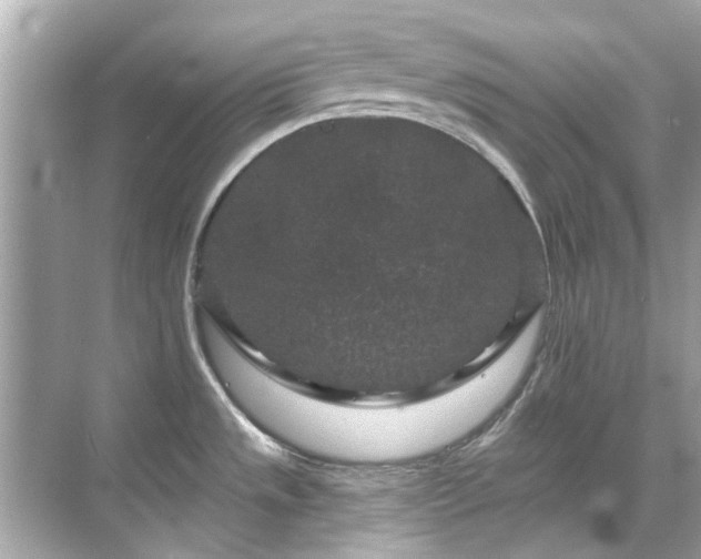 X0000071851533200607072248