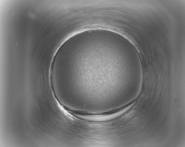 X0000071851535200607072248