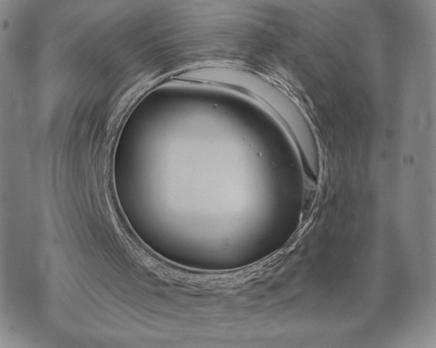 X0000071850001200607141802