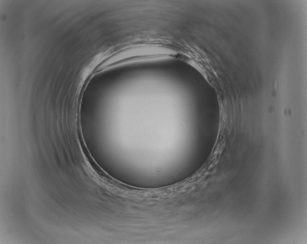 X0000071850003200607141802