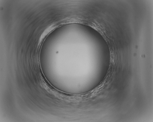 X0000071850004200607141802