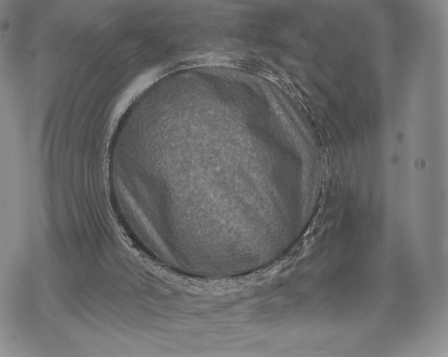 X0000071850006200607141801