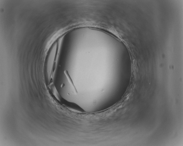 X0000071850007200607141801