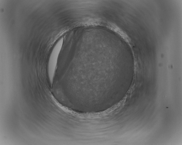 X0000071850009200607141801