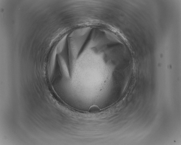 X0000071850010200607141801