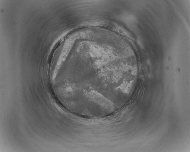 X0000071850012200607141801