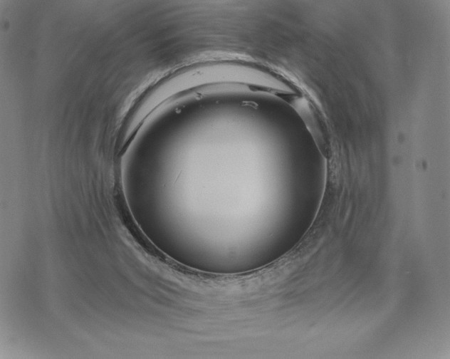 X0000071850015200607141801