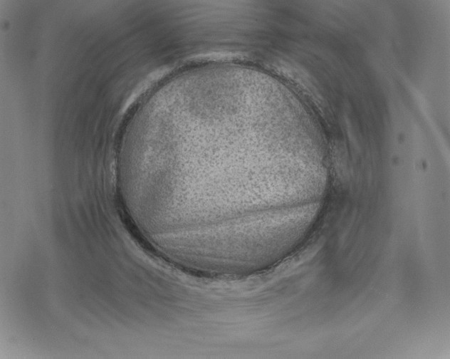 X0000071850016200607141801