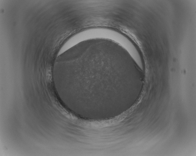 X0000071850017200607141801