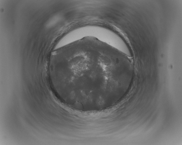 X0000071850018200607141801