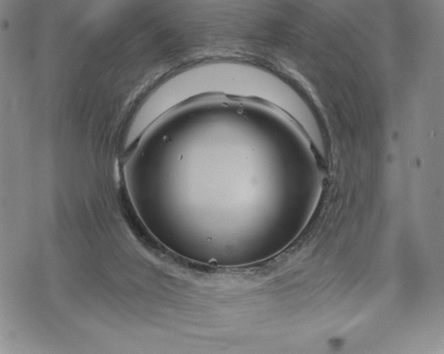 X0000071850020200607141801