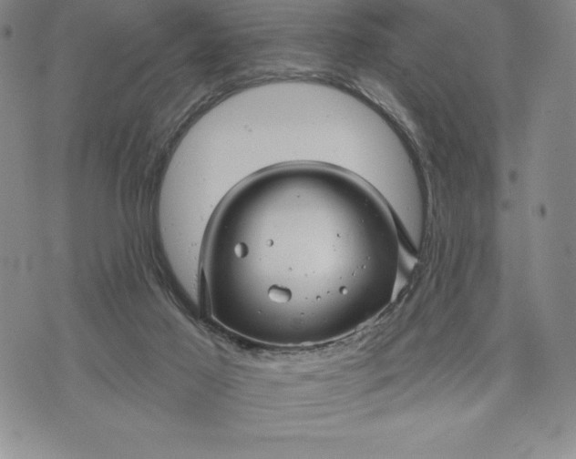 X0000071850021200607141801