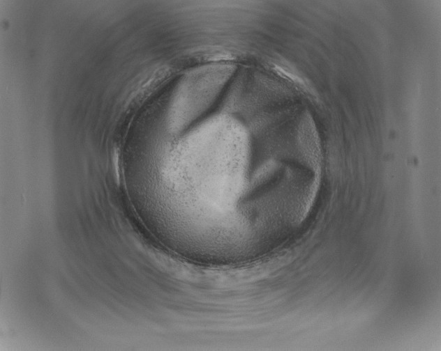 X0000071850022200607141801