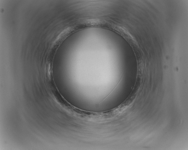 X0000071850024200607141801