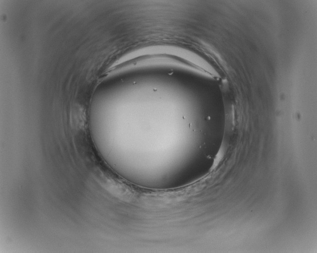 X0000071850025200607141801