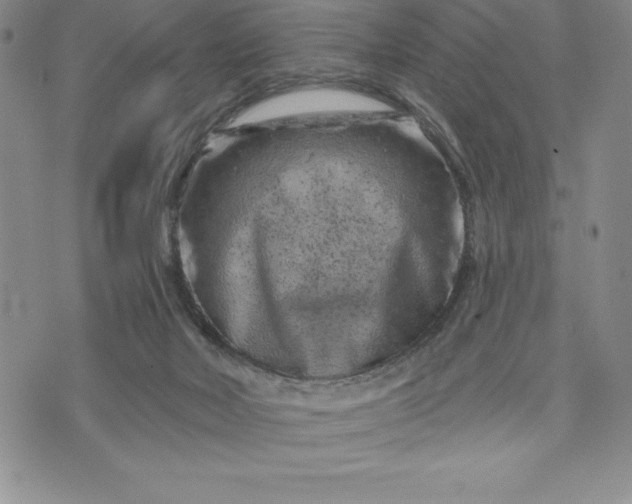 X0000071850026200607141801